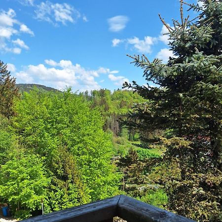 Apartamento Haus Westharz Goslar Bad Grund Exterior foto