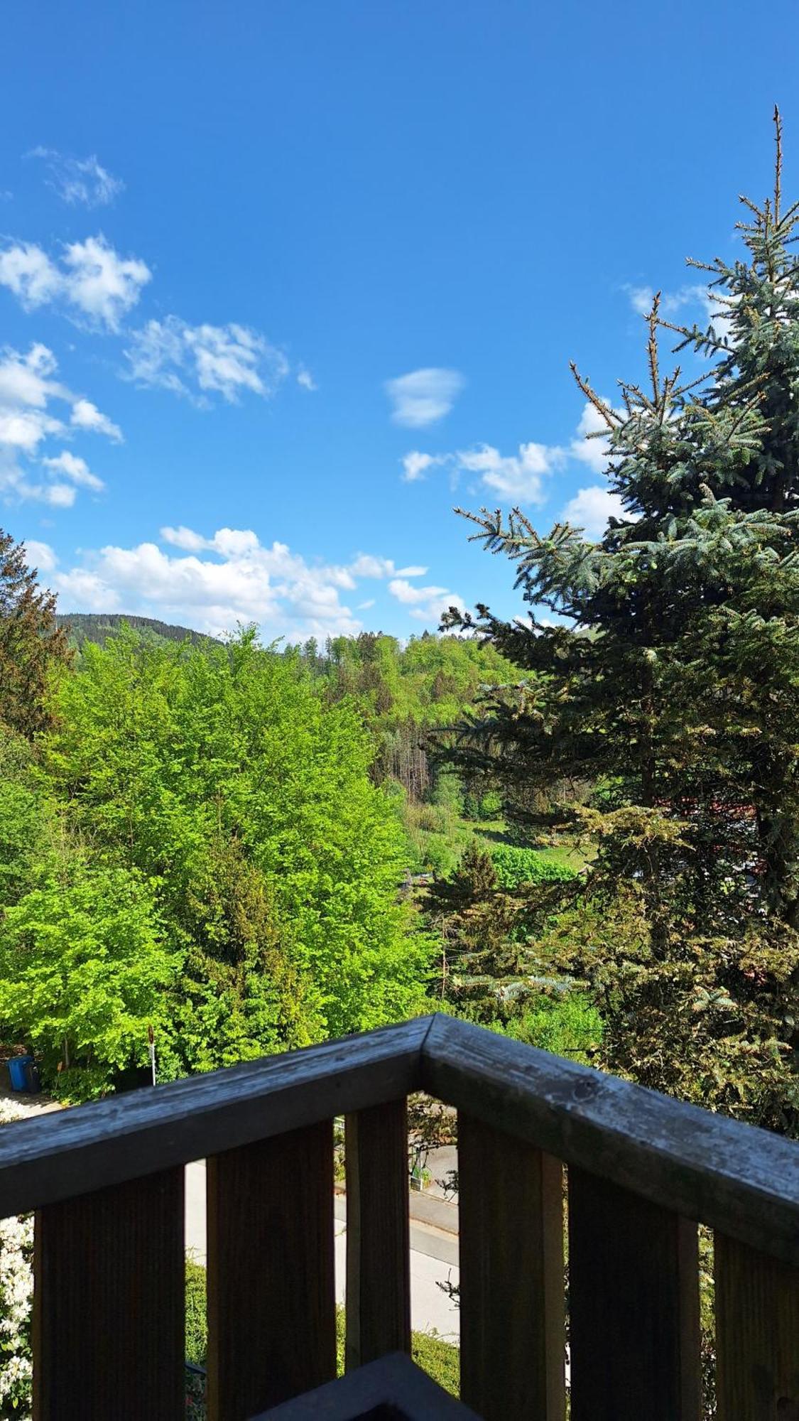 Apartamento Haus Westharz Goslar Bad Grund Exterior foto