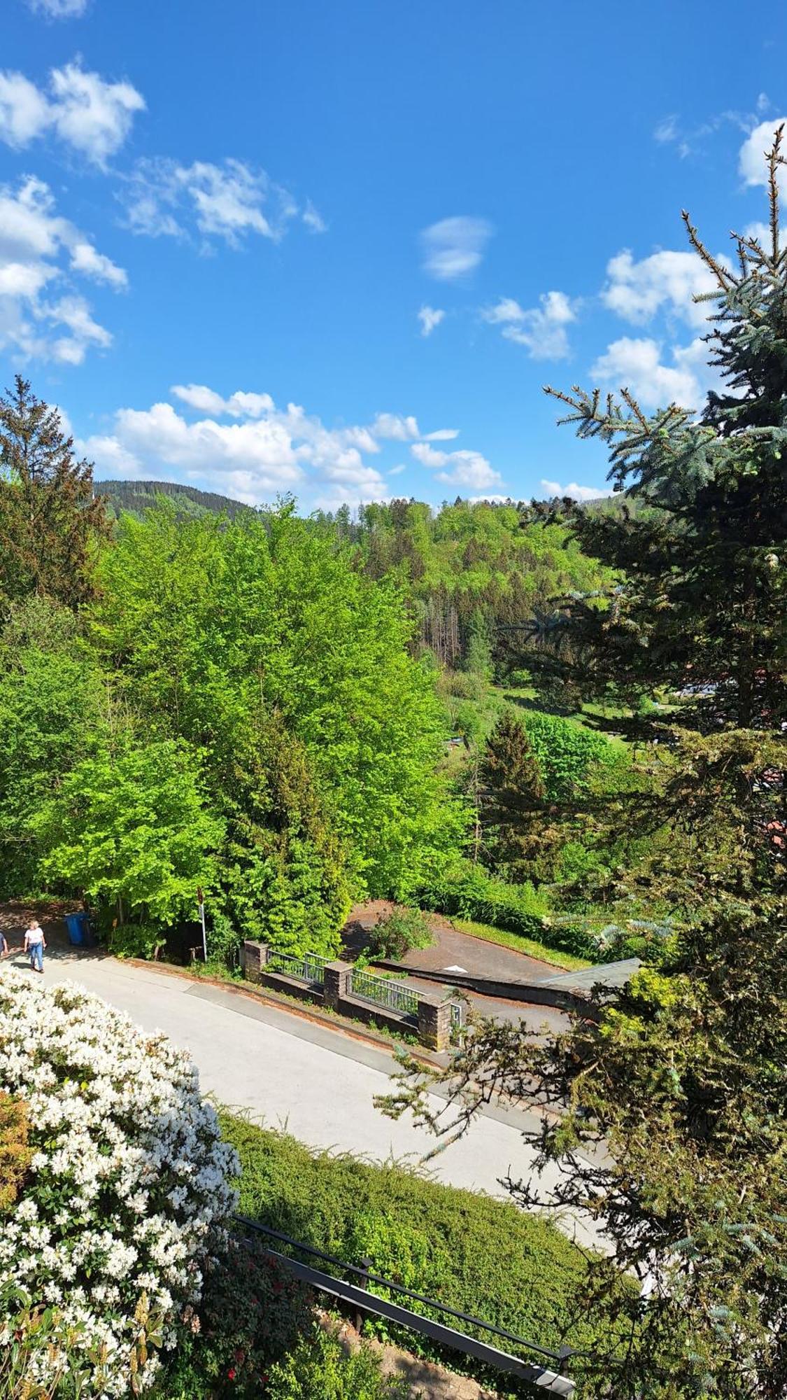 Apartamento Haus Westharz Goslar Bad Grund Exterior foto
